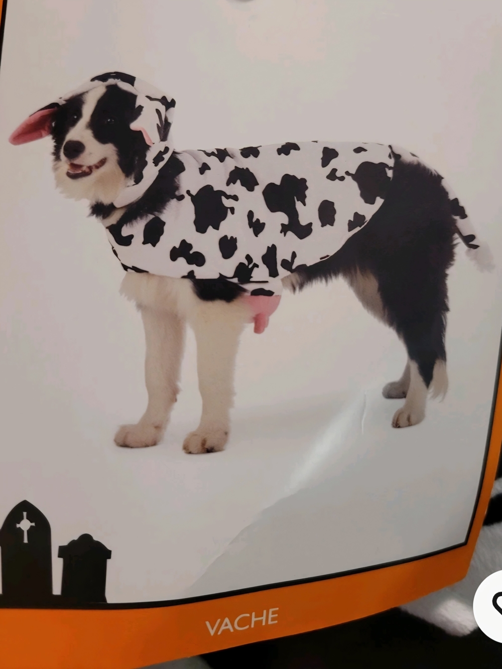 Cow Print Dog Costume - Black and White